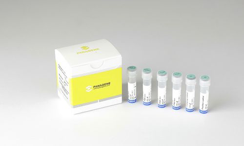 癌症快速诊断套装 - PNACIamp™ - Panagene Inc. - 肿瘤科 / FFPE 织物 / RT-PCR