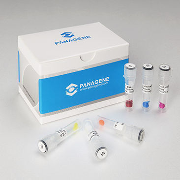 溶液试剂套装 - Panagene Inc. - 核酸 / C肽