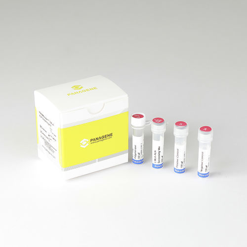 癌症快速诊断检测 - PNACIamp™  - Panagene Inc. - 肿瘤科 / 细胞 / 组织