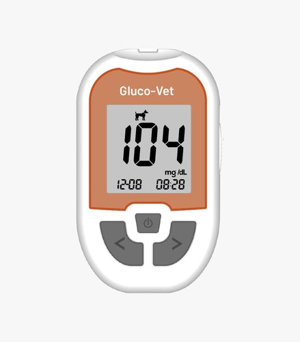 兽用血糖仪 - Gluco-Vet - Teco Diagnostics