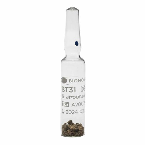消毒灭菌生物指示剂 - BT31 - Terragene SRL - 医用