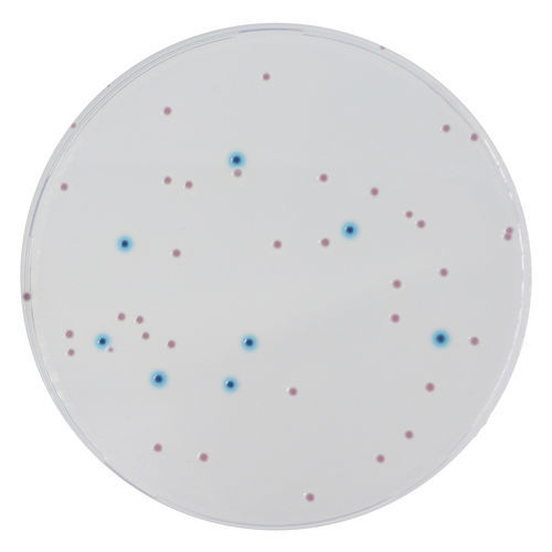 介质试剂试剂 - EB042 - CHROMagar - 用于微生物学 / 实验室 / 食品级