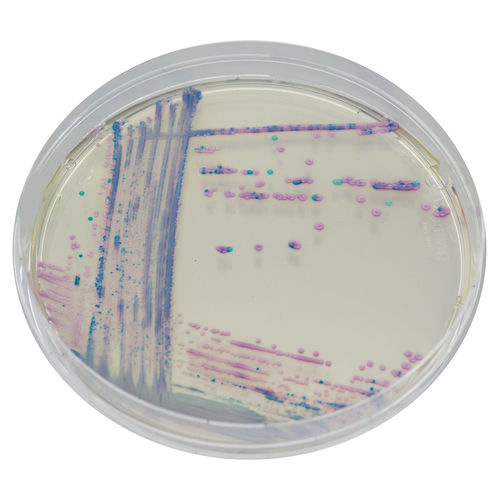 介质试剂试剂 - CQ392 - CHROMagar - 用于微生物学 / 兽医实验室 / 大肠杆菌