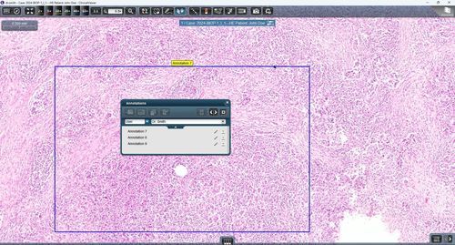 医用软件 - ClinicalViewer - 3DHISTECH Ltd. - 医院用 / 临床 / 远程问诊