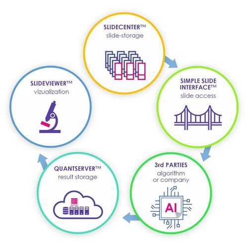 可视化管理、分析系统 - QuantCenter - 3DHISTECH Ltd. - 人工智能 / 分析 / 自动化
