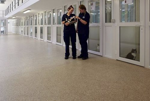 乙烯基地面 - Mosaic - Polyflor - PUR / 室内