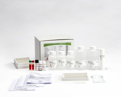 乙型肝炎快速诊断套装 - INNO-LiPA® - Fujirebio - HBV / 自动化 / 剥离