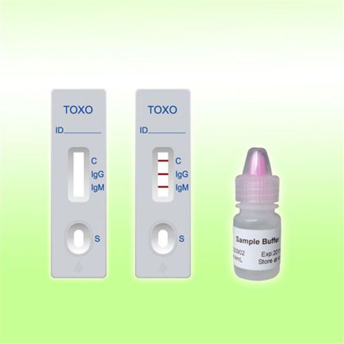 弓形体病快速诊断检测 - 1Q08C1 - Boson Biotech Co., Ltd. - IgG免疫球蛋白G / 免疫球蛋白M / 刚地弓形虫
