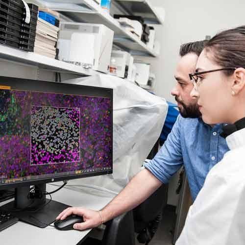 研究软件 - HALO® - Leica Biosystems - 用于医疗机构 / 用于制药业 / 组织学实验室用
