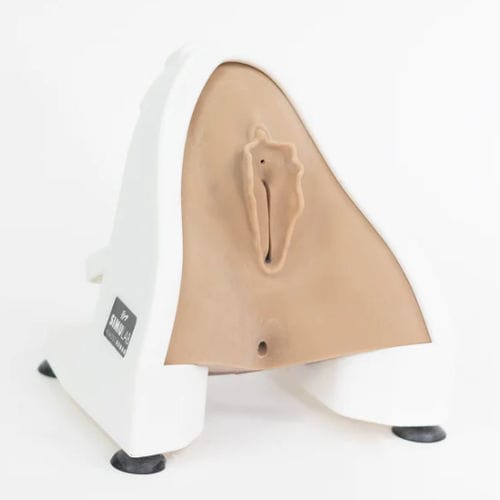 培训模拟器 - PRT-30-L - Simulab Corporation - 缝合 / 会阴修复 / 用于护士护理