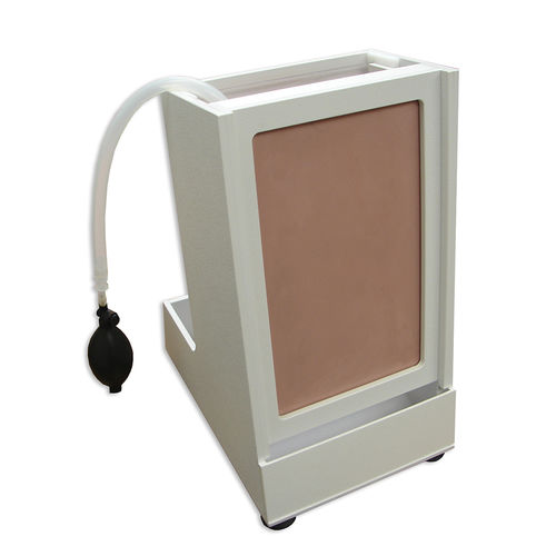 培训模拟器 - THM-30-L - Simulab Corporation - 教学 / 超声波成像 / 胸腔穿刺术