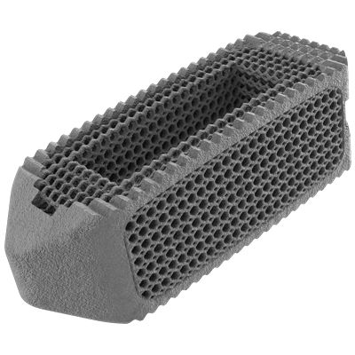腰椎间融合器 - NEXXT MATRIXX® - Nexxt Spine - 后入路 / 椎间孔内 / 钛