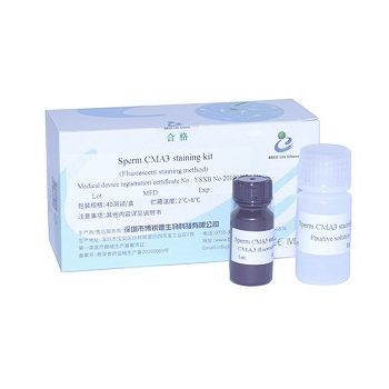 染色液试剂套装 - CMA3 - Bred Life Science Technology Inc . - 精子分析 / 铅