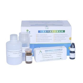染色液试剂套装 - Bred Life Science Technology Inc . - 精子分析