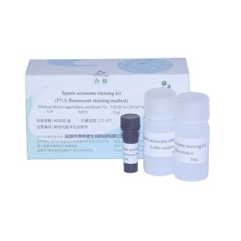 排卵快速诊断套装 - A23187 - Bred Life Science Technology Inc . - 精液 / 荧光