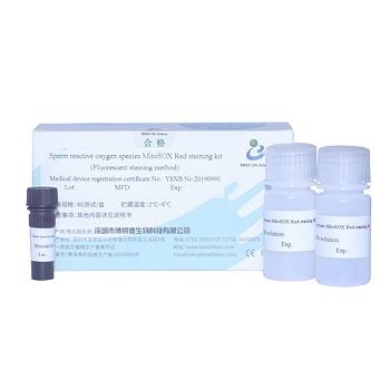 染色液试剂套装 - MitoSOX  - Bred Life Science Technology Inc . - 精子分析