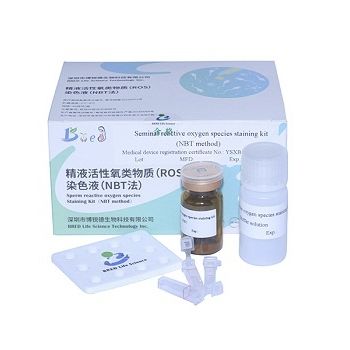 染色液试剂套装 - NBT  - Bred Life Science Technology Inc . - 精子分析