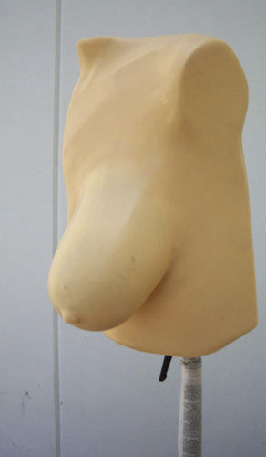 乳腺X射线造影测试体模 - MAMMO II  - Radiology Support Devices - 乳房