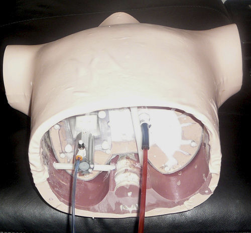 放射疗法测试体模 - RS-1500 - Radiology Support Devices - 躯干