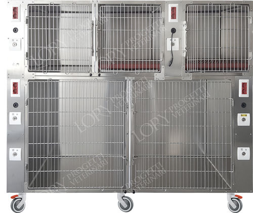 5格动物笼具 - GAANE001-CG - Lory Progetti Veterinari srl - 两级 / 带滑轮 / 不锈钢