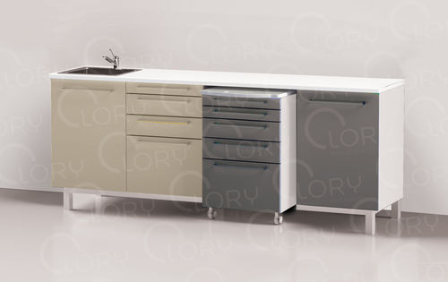兽医诊所工作台 - COMP004/D - Lory Progetti Veterinari srl - 带抽屉 / 带收纳 / 带水槽
