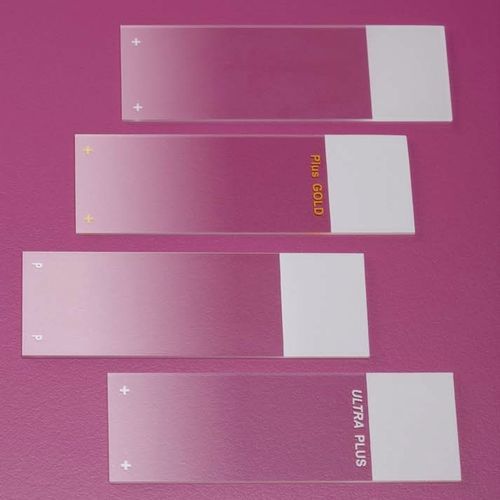 显微镜载玻片 - 09-3000 - BIO-OPTICA Milano/意大利BIO-OPTICA