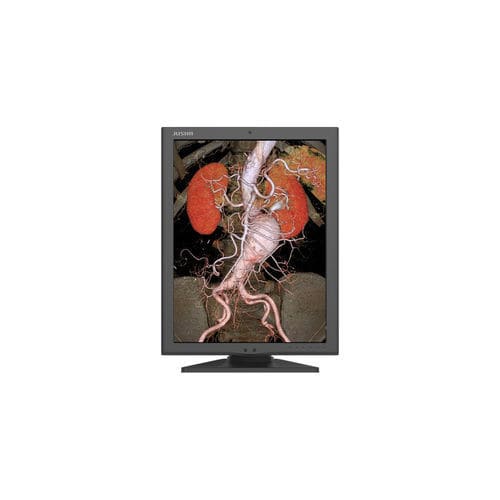 诊断显示器 - C270G - Nanjing Jusha Display Technology - 高解析度 / 21.3" / LED背光