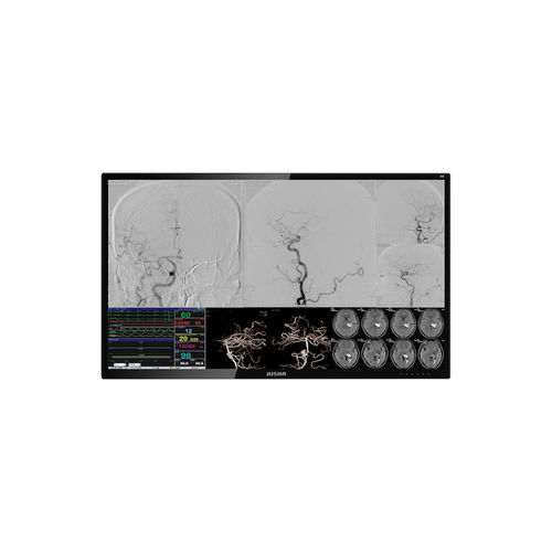 医用显示器 - E550EG - Nanjing Jusha Display Technology - 手术室 / 内窥镜 / 3840 × 2160