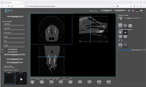 兽用软件 - IMEDpacs - Imedsys - 可视化 / 3D / 2D