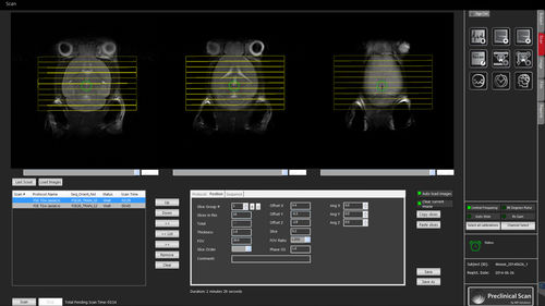 临床前软件 - Preclinical Scan™  - MR Solutions - 核磁共振MRI / 临床 / 确认
