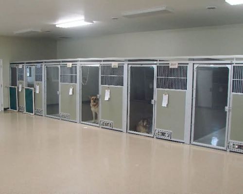 犬用动物笼具 - Snyder Manufacturing Company - 模块化