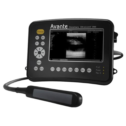 兽医超声波检查仪 / 便携式 - V900 - DRE Veterinary - 多功能 / 马科动物 / 黑白