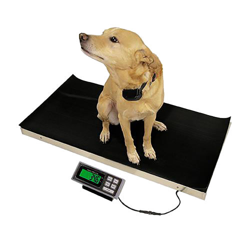 机械兽用秤 - 700  - DRE Veterinary - 平台 / 带独立指示器 / USB