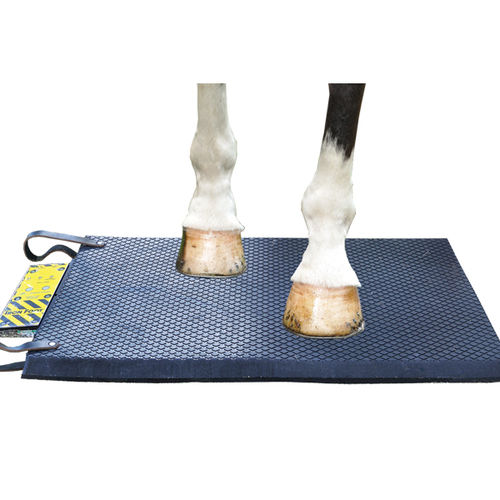 马科动物磁疗机 - Bio-Pulse Iron Foot - Respond Systems - 床垫