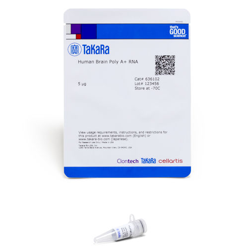 介质试剂试剂 - 6361 series - TAKARA - 用于研究 / 核酸 / RT-PCR