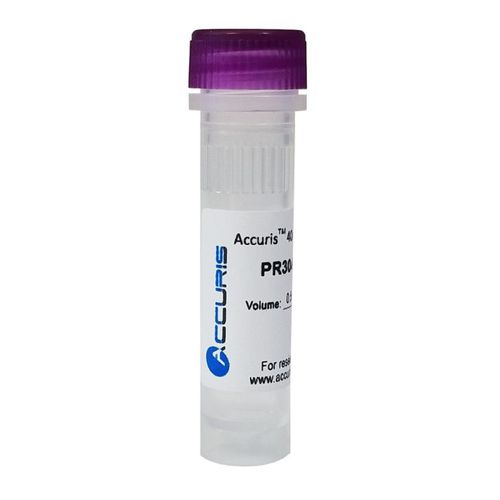 DNTP溶液试剂 - PR3 series - BENCHMARK SCIENTIFIC - 蛋白酶 / PCR