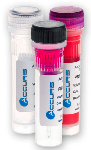 溶液试剂套装 - PR2001 series - BENCHMARK SCIENTIFIC - qPCR / 热启动式