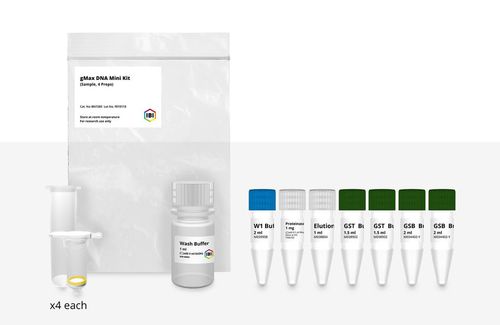 蛋白酶K试剂套装 - GMAX MINI - IBI Scientific - 血液样本 / 用于组织学 / PCR