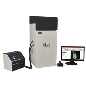荧光临床前成像系统 - iBox® Explorer²™ - UVP - 用于小型动物 / 体内成像
