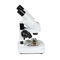 光学立体显微镜44137Celestron
