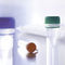 兽医实验室试剂virotype Influenza A Positive ControlINDICAL BIOSCIENCE GmbH