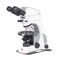 光学显微镜Panthera TEC POL CloudMoticEurope, S.L.U.