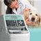 自动免疫分析仪AU10VFUJIFILM Healthcare