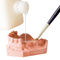 硅胶牙科材料zeus zeisol&reg; plusINDUSTRIA ZINGARDI SRL  