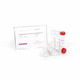 核糖核酸酶抑制剂试剂套装 / RT-qPCR / 用于cDNA合成 / 蛋白质