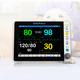 兽用多参数监护仪 / 紧凑型 / ECG / RESP