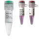 酶试剂套装 / 染色 / RT-qPCR