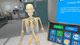 解剖学虚拟现实平台 / 沉浸式 / 3D / VR