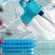 血色素病快速诊断套装 / 基因 / DNA / 用于实时PCR
