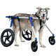 犬用兽用轮椅
